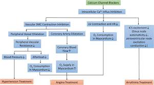 clinical roles of calcium channel blockers in ischemic heart