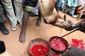 Résultat de recherche d'images pour "LES PLUS GRANDE RITUEL AU BENIN"