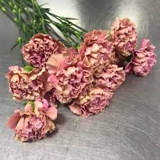 Maybe you would like to learn more about one of these? Austin Flower Marketaustin Flower Market