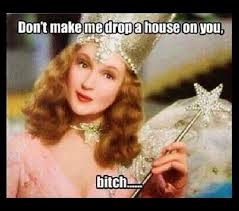 Glenda Don T Make Me Drop A House On You Glinda The Good The Good Witch Glinda The Good Witch
