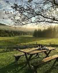 longestacresfarm instagram scenery landscape nature