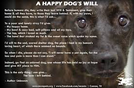 A Happy Dog S Last Will Testament This Is The Only Thing I Can Give The Love I Left Behind Will And Testament Dog Phrases Last Will And Testament