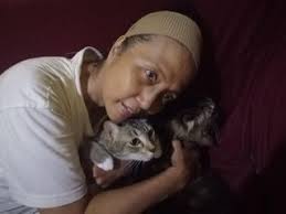 Pamulang Best Pet Boarding, Grooming for Dogs, Cats with Pickup