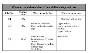 Why Use Veterinary Dental Radiographs Xrays In Your Dental