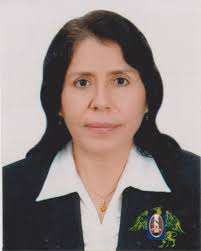 Directorio de Recursos Humanos afines a la CTI