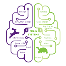 Image Result For Thinking Fast And Slow Thinking Fast And Slow Behavioral Economics Fast And Slow