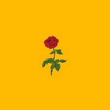 Der Rose Yellow Background Pop Art Wallpaper Yellow Wallpaper