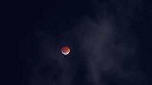 La symbolique des signes du zodiaque est très importante puisque c'est à partir d'elle qu'est effectuée toute l'interprétation d'un thème. Wlikqfvbifm0mm