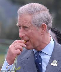 From 'C Rex' to wise owls and pussy cats! What can they all mean