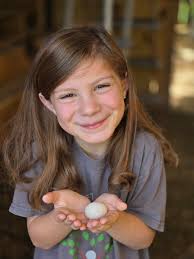 Backyard chicken owners experience eclipse baby hatching