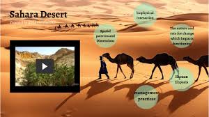 Winds blow sand all around, so a camel has long eyelashes. Sahara Desert By Harriet O Brien