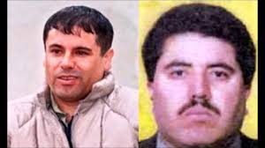 Borderland Beat: La Linea vs Gente Nueva