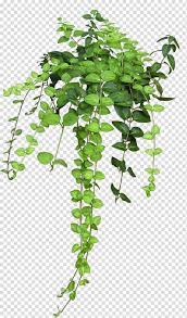Green Leafed Plants Plant Vine Rose Flower Bushes Transparent Background Png Clipart Plant Texture Pink Flowering Trees Rose Flower Png