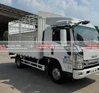 ISUZU Cargo Truck, ISUZU Cargo Van, Caged Box Truck - ISUZU ...