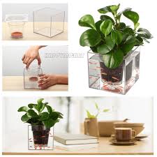 Cute Creative Desk Mini Aquarium Flower Plant Pot Planters Gardening Decoration Flower Pots Plants Mini Aquarium