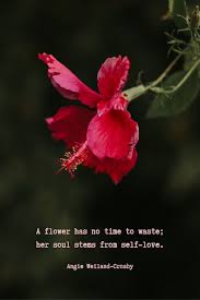 We did not find results for: Flower Quotes And Spring Quotes With A Soulful Shimmer Mom Soul Soothers Flower Quotes Spring Quotes Flower Quotes Love