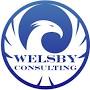Welsby Consulting, LLC from www.facebook.com