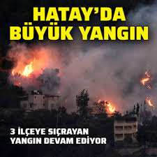 Yanan ormanlar değil, ciğerlerimiz… yanmasın ormanlar, yanmasın hayvanlar… Son Dakika Hatay Daki Orman Yangini 3 Ilcede Devam Ediyor Mudahale Suruyor Gundem Haberleri