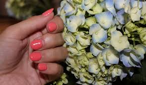 Die farbe wird in ihren tönungen für erfrischung, fröhlichkeit und jugend gesetzt. Gelnagel In Der Farbe Koralle The Inspiring Life