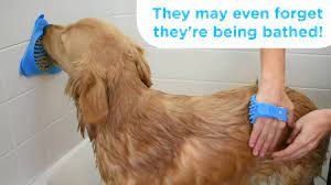 Slow Treater Wall Mounted Treat Lick To Distract Dogs While Bathing