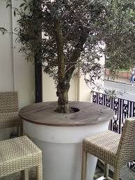 Terrasse Gestalten Leicht Gemacht Mit Einem Schonen Olivenbaum Dekorationen Ideen Terrasse Gestalten Vorgarten Garten Balkon Pflanzen