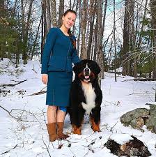 I had my 1st ride in a car yesterday for my veterinarian appointment and as it turns out i'm in nice shape and bernese mountain dog · kalona, ia. Belnois Breeder From Canada Has Anyone Gotten Puppies From Belnois Kennel In Quebec I Want To Get A Berner And She Seems Like A Good Breeder If You Have Had Puppies From