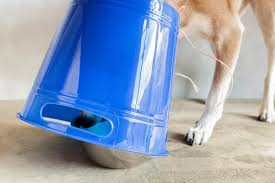 Use any 3 empty and cleansed containers to make a harder cone so that he will be unable to smash it easily. 10 Diy Dog Cone Designs Easy Homemade E Collars