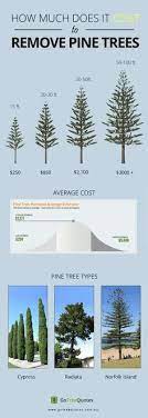 How much tree removal should cost. 13 Best Tree Removal Cost Ideas In 2021 Tree Removal Cost Tree Removal Tree