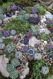 63 Beautiful Front Yard Rock Garden Landscaping Ideas Succulent Rock Garden Landscaping With Rocks Rock Garden Design