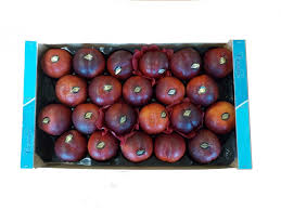 Nectarines Metral Fruits