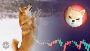 Shiba Inu Shib Estas Listo Para Una Caida Libre O Apoyara Cryptoshitcompra Com