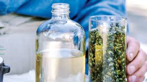 Lay the lavender stems side by side, with the flowers staggered in two rows. How To Make Diy Lavender Oil Sunset Magazine