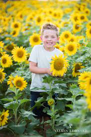 Sunflower Mini Session Dogwood Farms Rhodes Family 12 Jpg Sunflower Mini Session Sunflower Field Photography Lavender Fields Photography