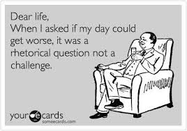 Pin By Egytha Prima On Funnies Funny Quotes Rhetorical Question Ecards Funny