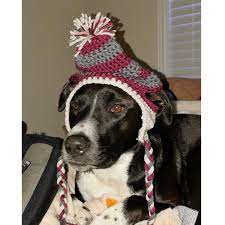 Crochet Doggie Hat Pdf Pattern For Large Dogs Etsy Dog Beanie Pattern Crochet Dog Beanie