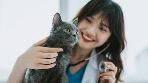 Ohio Veterinarian Insurance (Cost & Coverage)