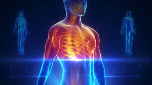 Image result for full body scan