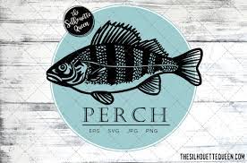 Download Perch Fish Svg Design Files Hand Drawn Fishing Vector Etsy
