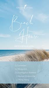 Eucalyptus Radiata Essential Oil Eucalyptus Radiata Essential Oil Healing Essential Oils Oils