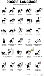 My Dog Speaks Dog For Sure Http Ift Tt 2ipt5mi Dog Language Dogs Dog Body Language