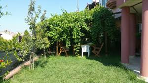 Bahcemizdeki Asma Cardagi Tam Hayal Ettigim Gibi Sakli Bahce Tam Golgelik Oldu Keyfini Rowdy Suruyor Rowdy Yi Gorebilen Var Mi Cardak Bahce Uzum