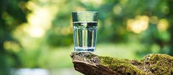 Water ionizers make healthy hydration easy How To Make Alkaline Water Easy And Simple Ways Kitchenistic