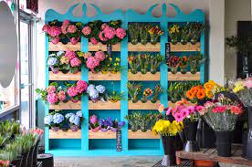 Visa check card 3697 bulk grand rapids mi mc. Stems Market Fresh Cut Flowers For Everyday And Events