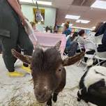 Paint with Baby Goats