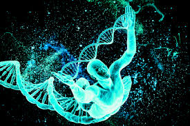 Το αρχαίο DNA «μιλάει» για το παρελθόν μας - Ειδήσεις - νέα - Το ...