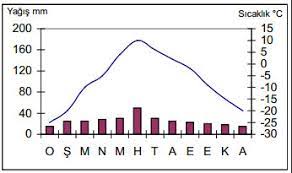 Tundra ikliminde yağış en fazla yaz aylarında görülür. Okyanusal Iklim Nerelerde Gorulur Cografya Bilim