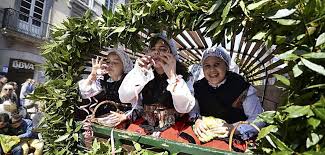 La yegua “Gini” y los carros de Ondina, otra vez en casa