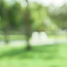 2019 Annual Report by Quiet Hour Ministries