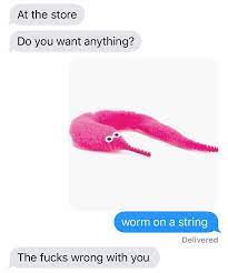 You can also make a giant worm, this is the ultimate life form. The Fucks Wrong With You Worm On A String Know Your Meme