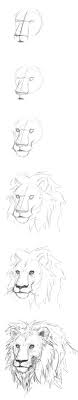Pin By Stacey Bilicki On Turulu Sketches Drawings Animal Drawings